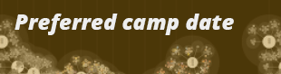 BI Broadcast Newsletter